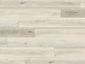 Paradigm Performer Sprout 9 x 60